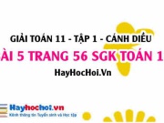 Giải bài 5 trang 56 Toán 11 tập 1 SGK Cánh Diều